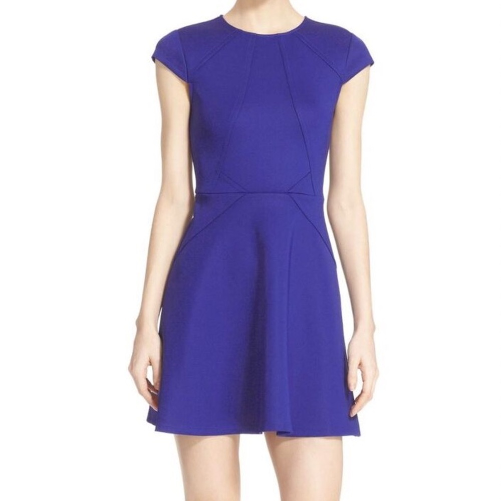 Ted Baker Skater Dress Size 2